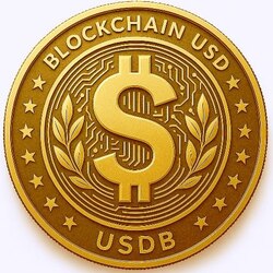 Blockchain USD logo